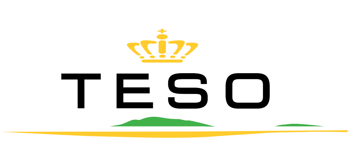 Logotipo TESO